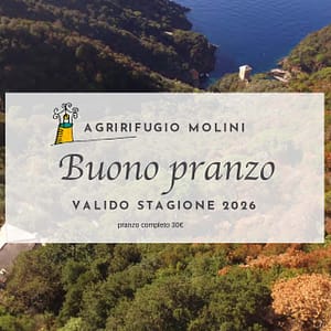 Buono pranzo